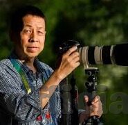 欧美伦理毛片在线看-探索网络伦理的灰色地带，欧美伦理电影的观看与反思